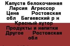 Капуста белокочанная Ларсия, Агрессор › Цена ­ 5 - Ростовская обл., Багаевский р-н, Красный хутор Продукты и напитки » Другое   . Ростовская обл.